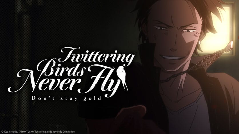 T stay. Don't stay Gold аниме. Saezuru tori WA Habatakanai: don't stay Gold (Ova). Birds never Fly: don't stay Gold Scene 1.